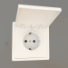 3d model Schuko earthed socket with cover (16A, 250V, screw-on, matt white, DA52033) R98 - preview