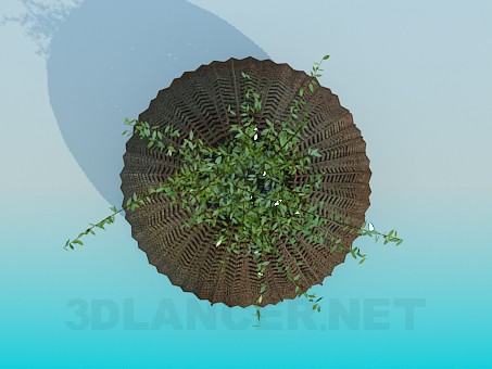 3d model Basket for the flowerpot - preview 3d model Basket for the flowerpot - preview