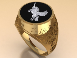 Der Ring mit einem schwarzen Onyx