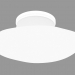 3d модель Светильник настенно-потолочный F07 G17 01 – превью