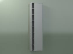 Armario de pared con 1 puerta derecha (8CUCFCD01, Silver Grey C35, L 48, P 24, H 192 cm)