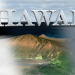 3D-Landschaftsmodell von Hawaii 3D-Modell kaufen - Rendern 3D-Landschaftsmodell von Hawaii 3D-Modell kaufen - Rendern