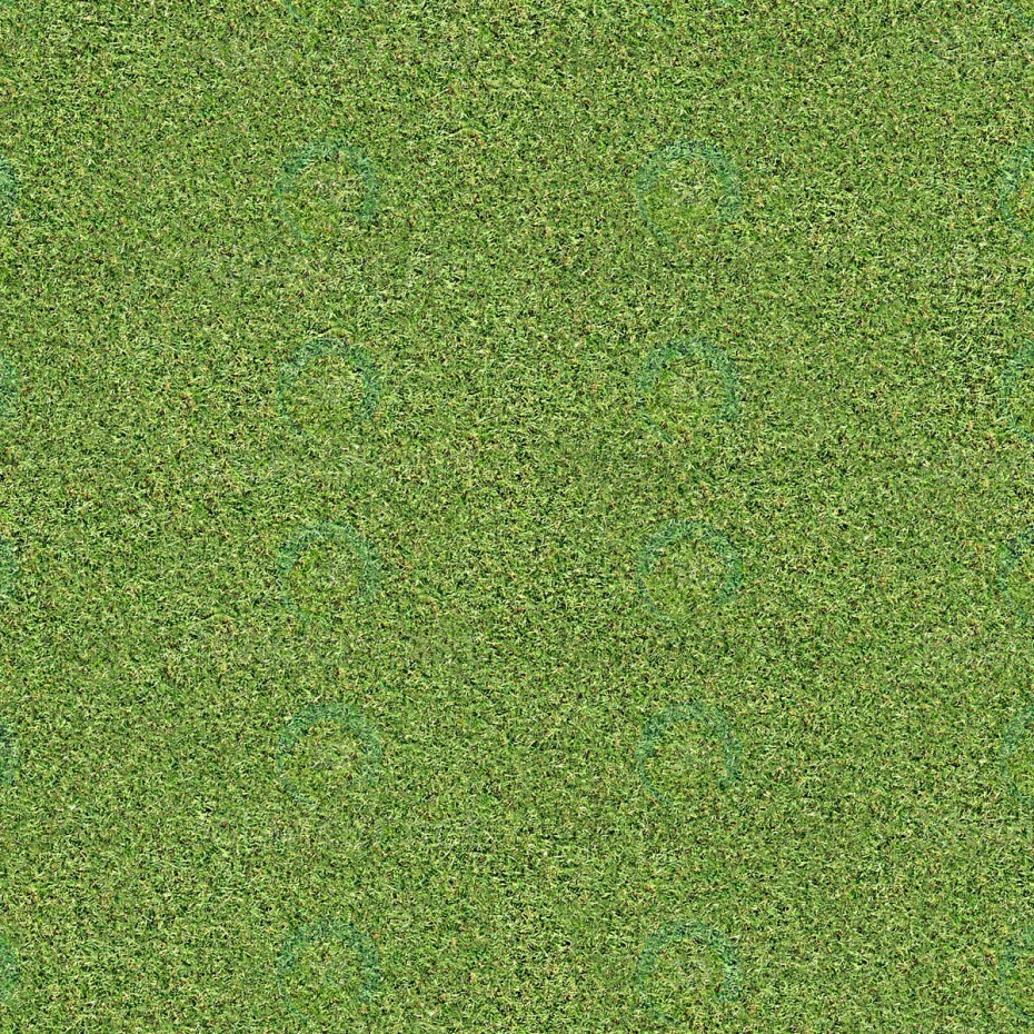 Texture Grass free download - image