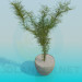 3d модель Комнатное растение – превью