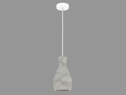 lâmpada pingente (S111010 1B)