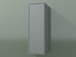 Armario de pared con 1 puerta (8BUABCD01, 8BUABCS01, Silver Grey C35, L 24, P 24, H 72 cm)
