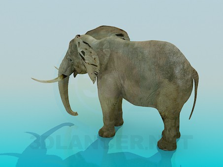 3d model Elephant - preview 3d model Elephant - preview