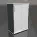 3d model Cabinet with sliding doors Standard MEA3P04 (800x432x1189) - preview