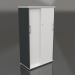 3d model Wardrobe with sliding doors Standard A4P04 (800x432x1481) - preview