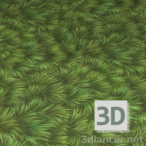 Texture Grass free download - image
