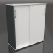 3d model Wardrobe with sliding doors Standard A3P05 (1000x432x1129) - preview