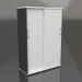 3d model Wardrobe with sliding doors Standard A4P05 (1000x432x1481) - preview