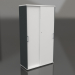 3d model Cabinet with sliding doors Standard A5P05 (1000x432x1833) - preview