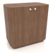 3d model Cabinet TM 031 (660x400x650, wood brown light) - preview