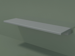 Shelf (90U18002, Silver Gray C35, L 45 cm)