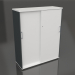 3d model Cabinet with sliding doors Standard A4P06 (1200x432x1481) - preview