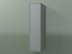 Armario de pared con 1 puerta (8BUACCD01, 8BUACCS01, Silver Grey C35, L 24, P 24, H 96 cm)