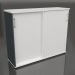 3d model Cabinet with sliding doors Standard A3P14 (1410x432x1129) - preview