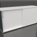 3d model Cabinet with sliding doors Standard A2P08 (1600x432x740) - preview