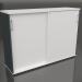 3d model Cabinet with sliding doors Standard A3P08 (1600x432x1129) - preview