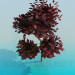 3d model Tree with red leaves - preview