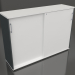 3d model Cabinet with sliding doors Standard A3P16 (1610x432x1129) - preview