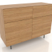 3d model Chest of drawers 3 1200 mm (natural oak) - preview