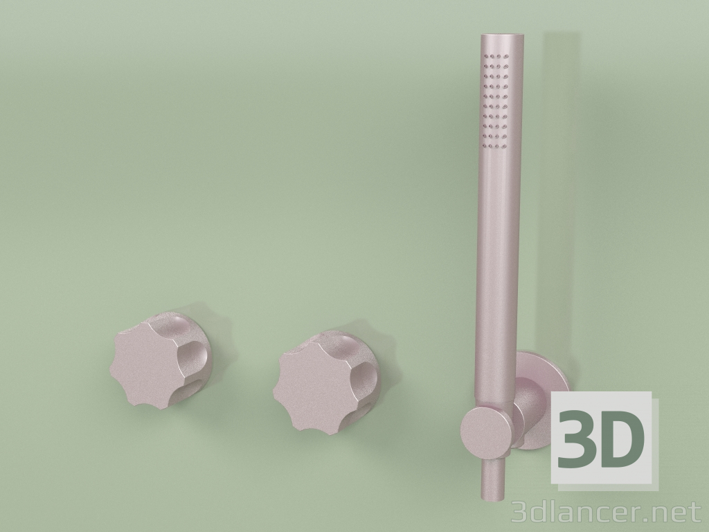 3d model Wall-mounted set of 2 hydro-progressive mixers with hand shower (17 68, OR) - preview