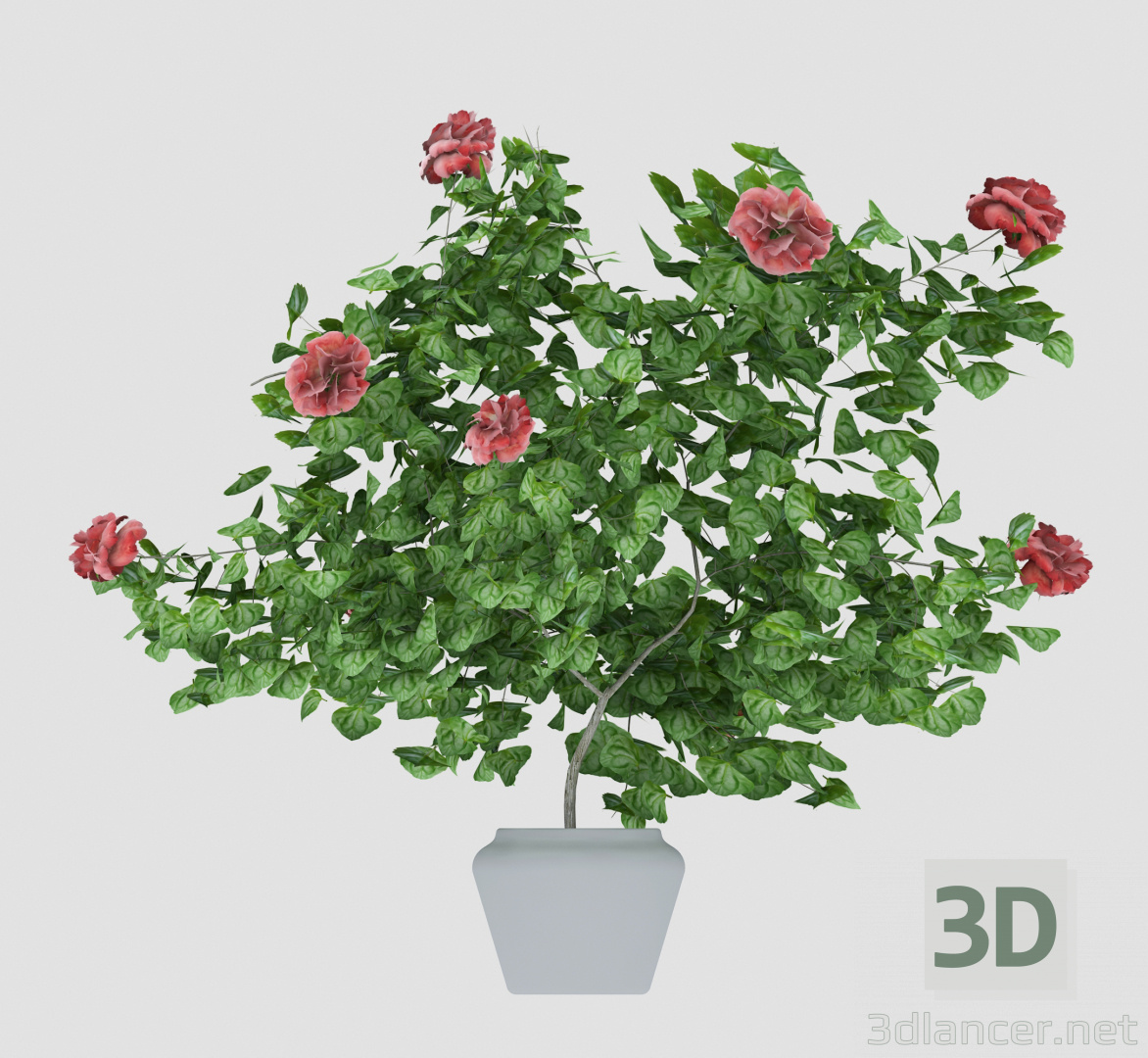 3d model Hibiscus | 19589 | 3dlancer.net