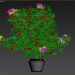 3d Hibiscus model buy - render