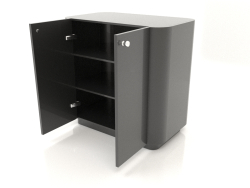 Cabinet TM 031 (open) (660x400x650, black plastic)