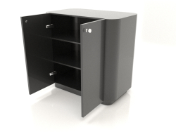 Armoire TM 031 (ouverte) (660x400x650, plastique noir)