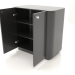 3d model Cabinet TM 031 (open) (660x400x650, black plastic) - preview