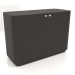 3d model Cabinet TM 031 (1060x450x750, wood brown dark) - preview