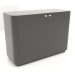 3d model Cabinet TM 031 (1060x450x750, black plastic) - preview