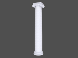 Column (K69I)
