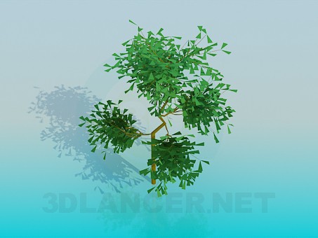 3d модель Небольшое дерево – превью 3d модель Небольшое дерево – превью