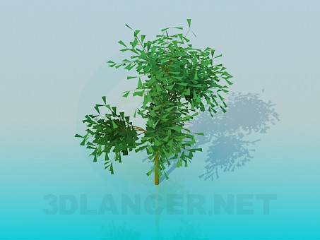 3d модель Небольшое дерево – превью 3d модель Небольшое дерево – превью