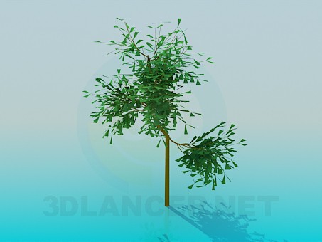 3d модель Небольшое дерево – превью 3d модель Небольшое дерево – превью