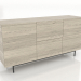 modèle 3D Commode 2 1600 mm (chêne éclairci) - preview