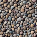 piccole pietre acquistare texture per 3d max