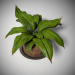 3d Plant in a wooden pot model buy - render