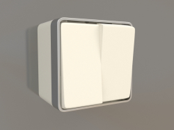 Two-gang switch (ivory)