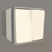 3d model Two-gang switch (ivory) - preview