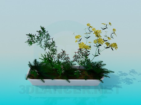 modèle 3D Pot rectangulaire avec des fleurs - preview