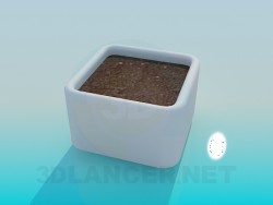 Square pot for plants with soil