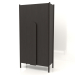 3d model Wardrobe with long handles W 01 (1000x450x2000, wood brown dark) - preview