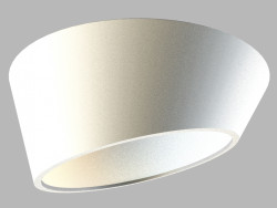 0620 ceiling lamp