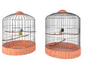 Two bird cages