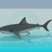 3d model Shark - preview